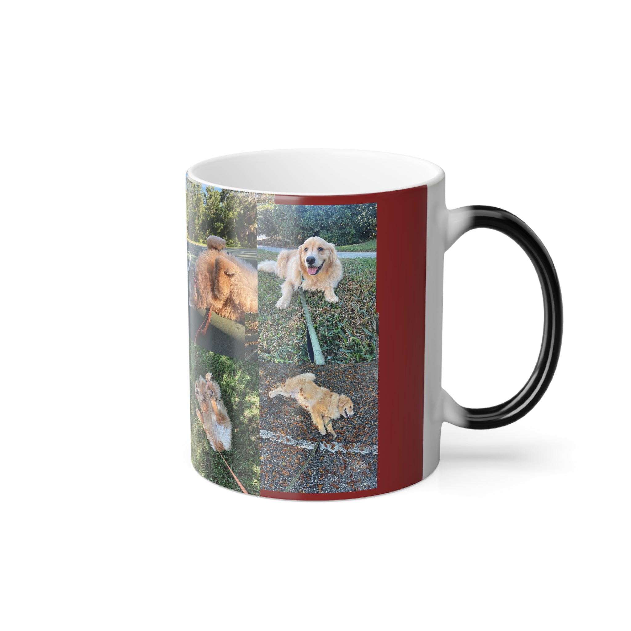 Teddy the Golden Retriever  - Color Morphing Mug, 11oz