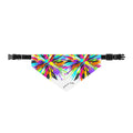 Clip-On Pet Bandana — Colorful Tie-Dye Burst Collar Accessory