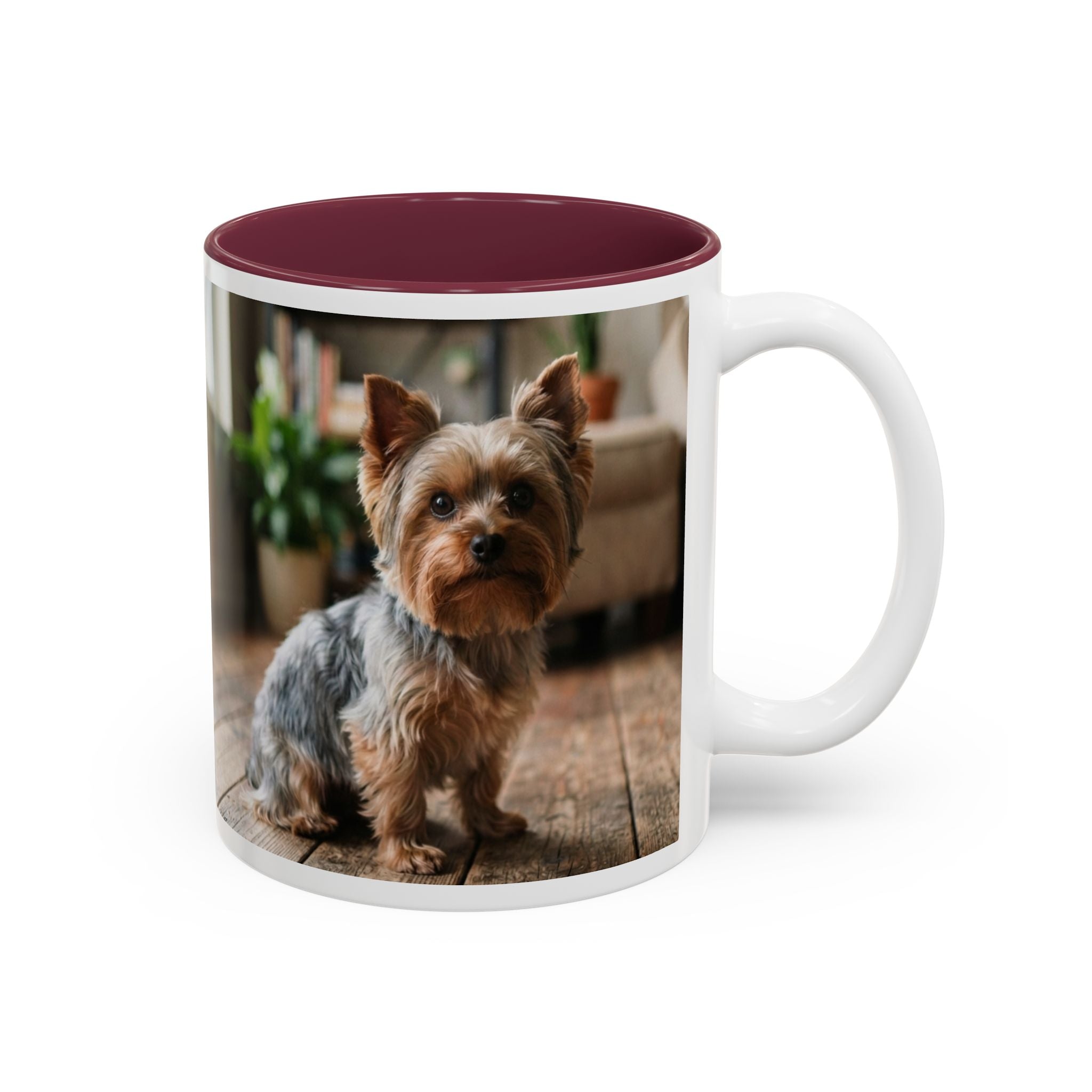 Charlie the Yorkie