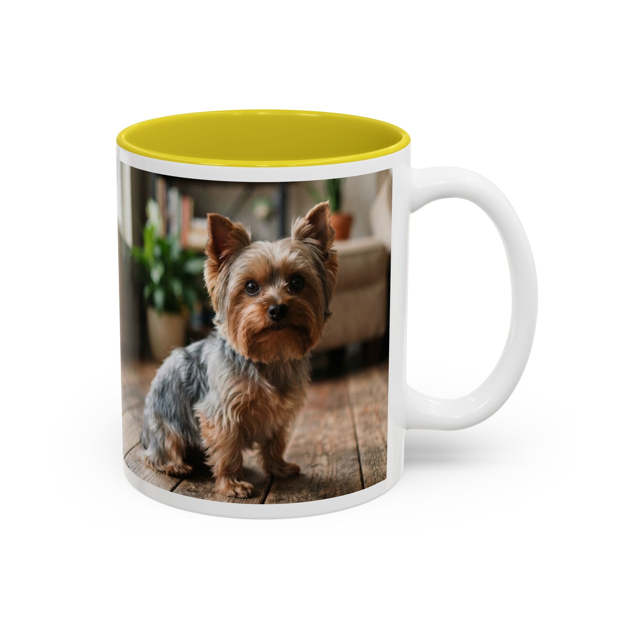 Charlie the Yorkie