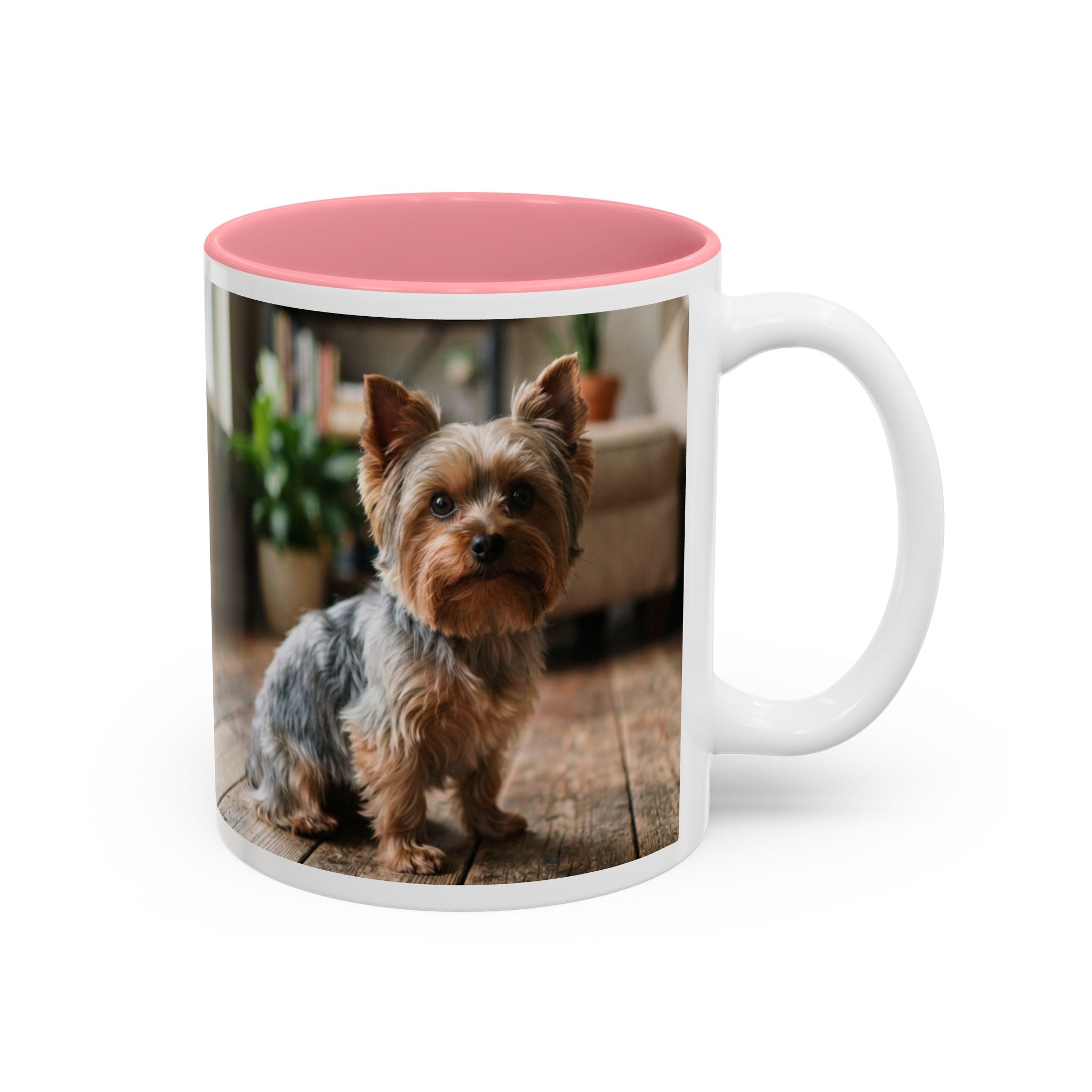 Charlie the Yorkie