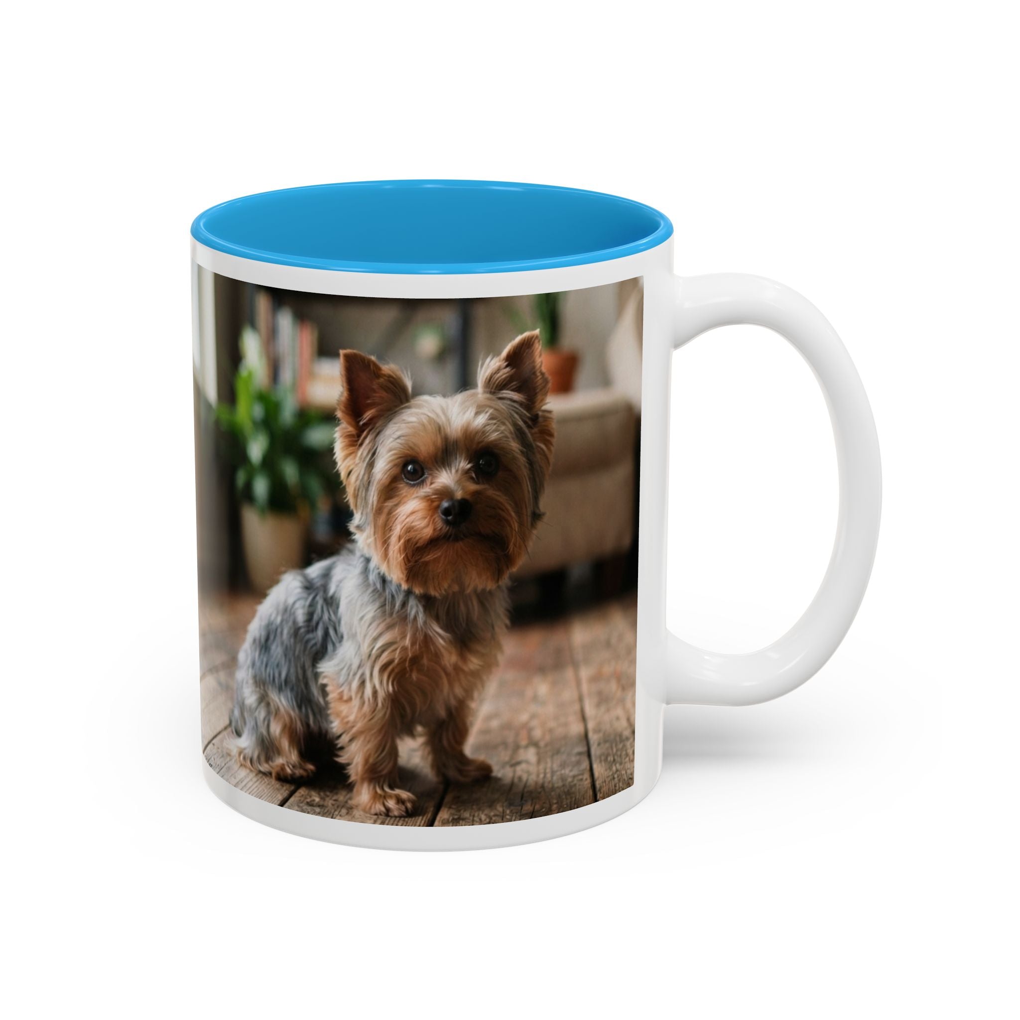 Charlie the Yorkie