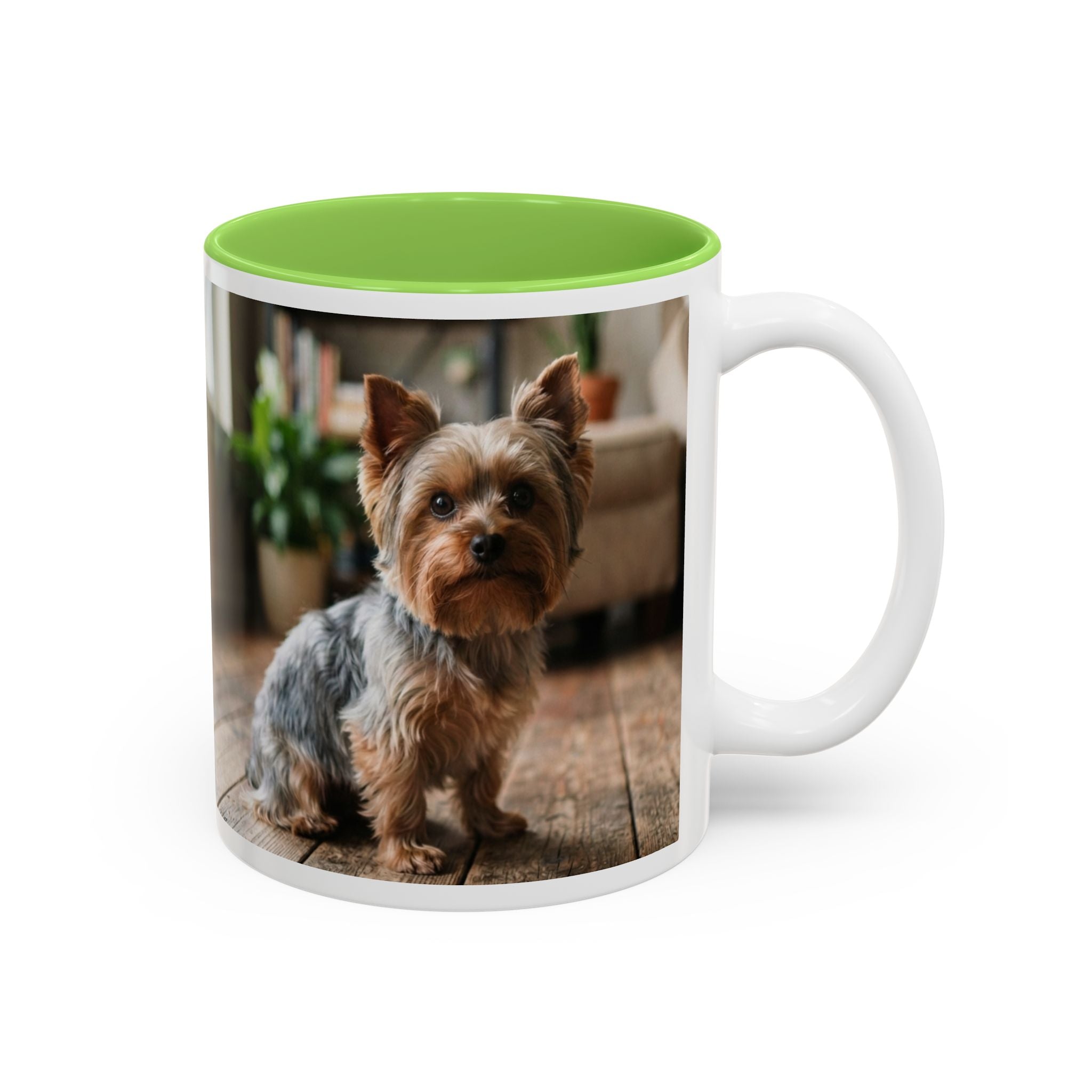 Charlie the Yorkie