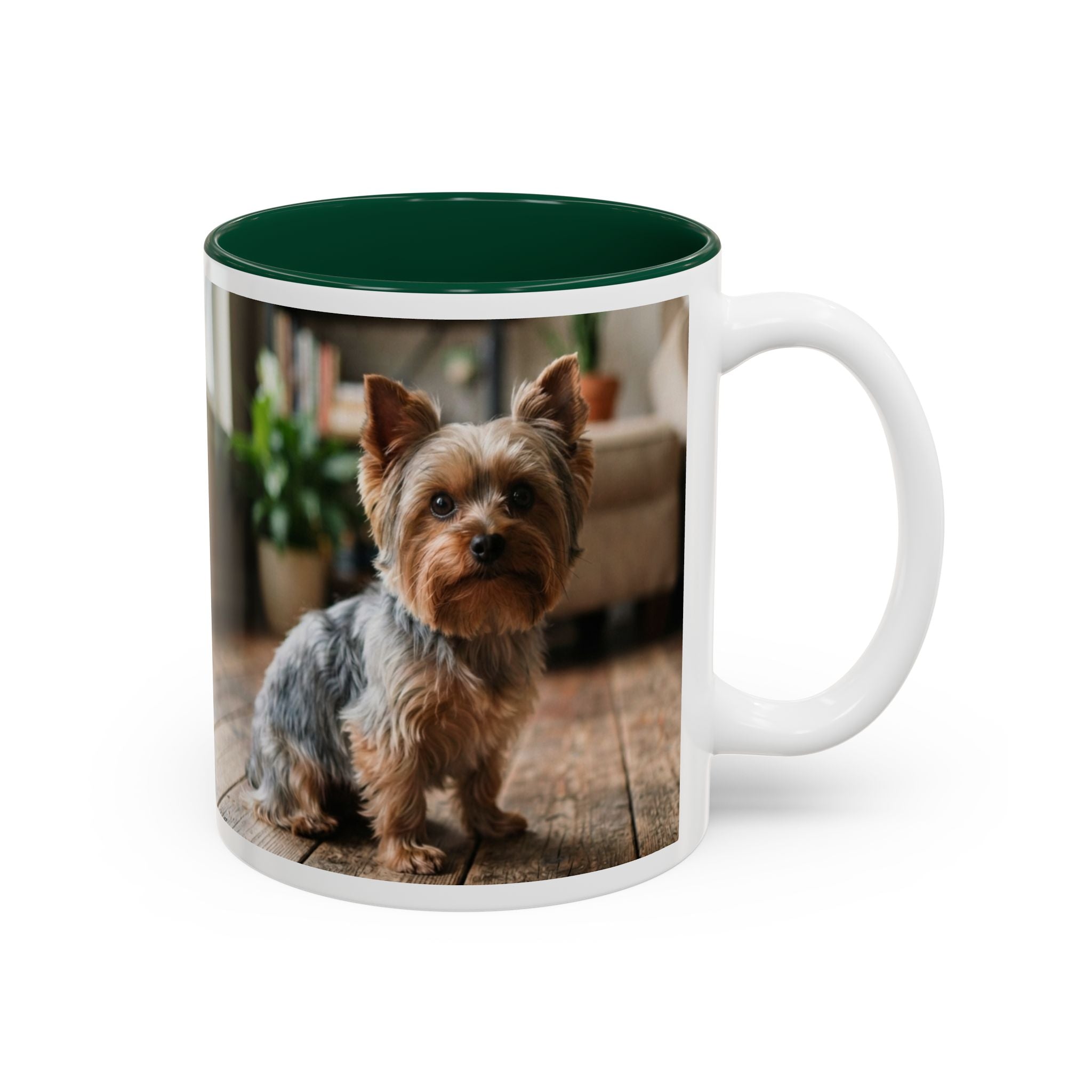 Charlie the Yorkie