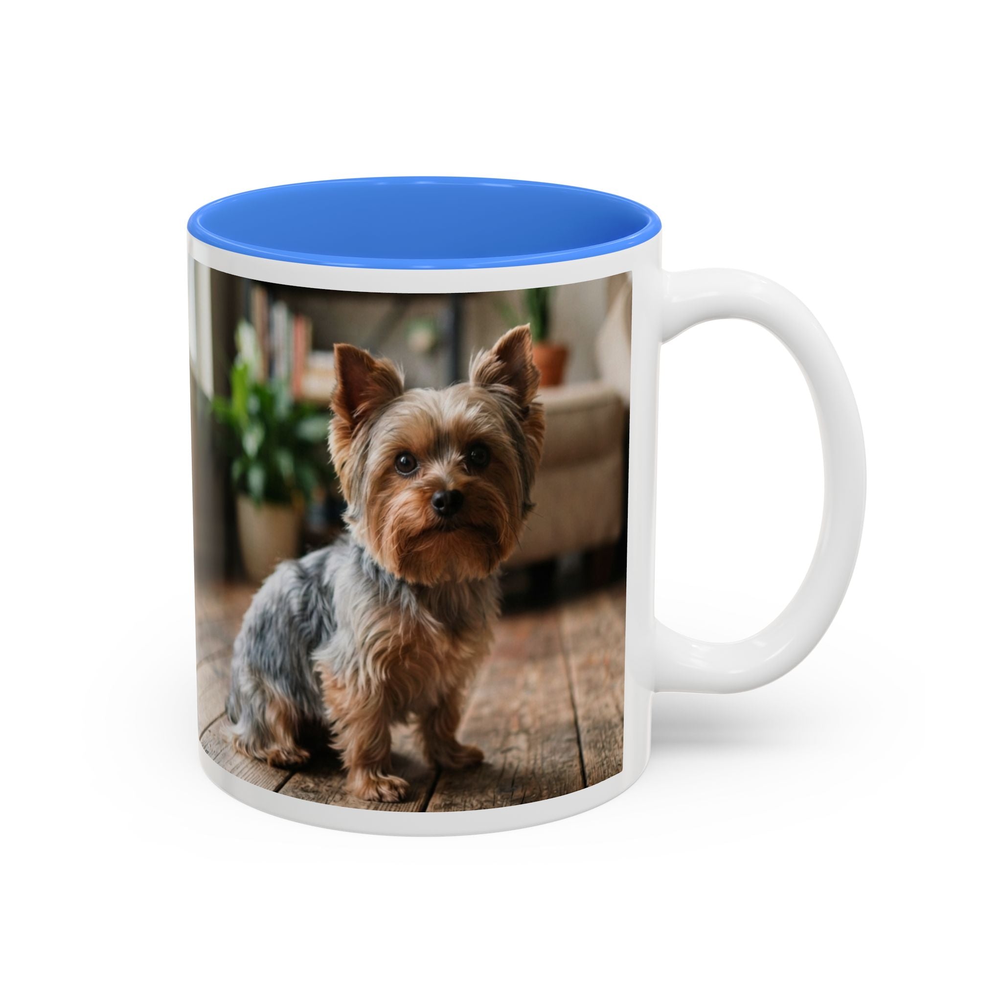 Charlie the Yorkie