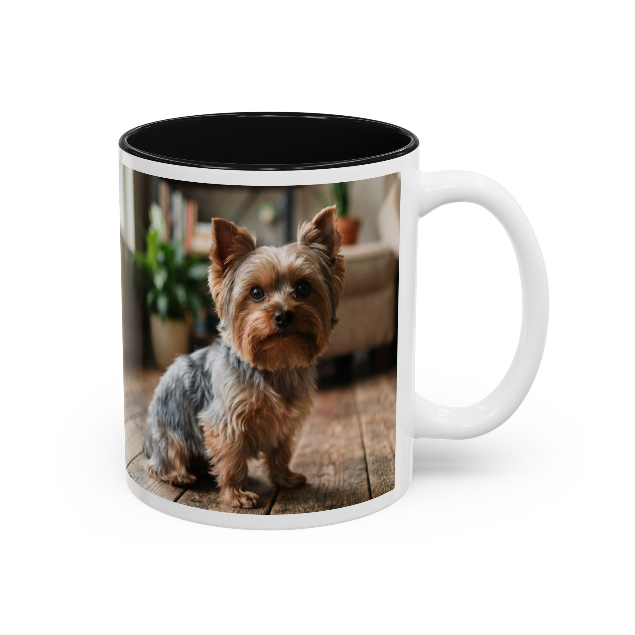 Charlie the Yorkie