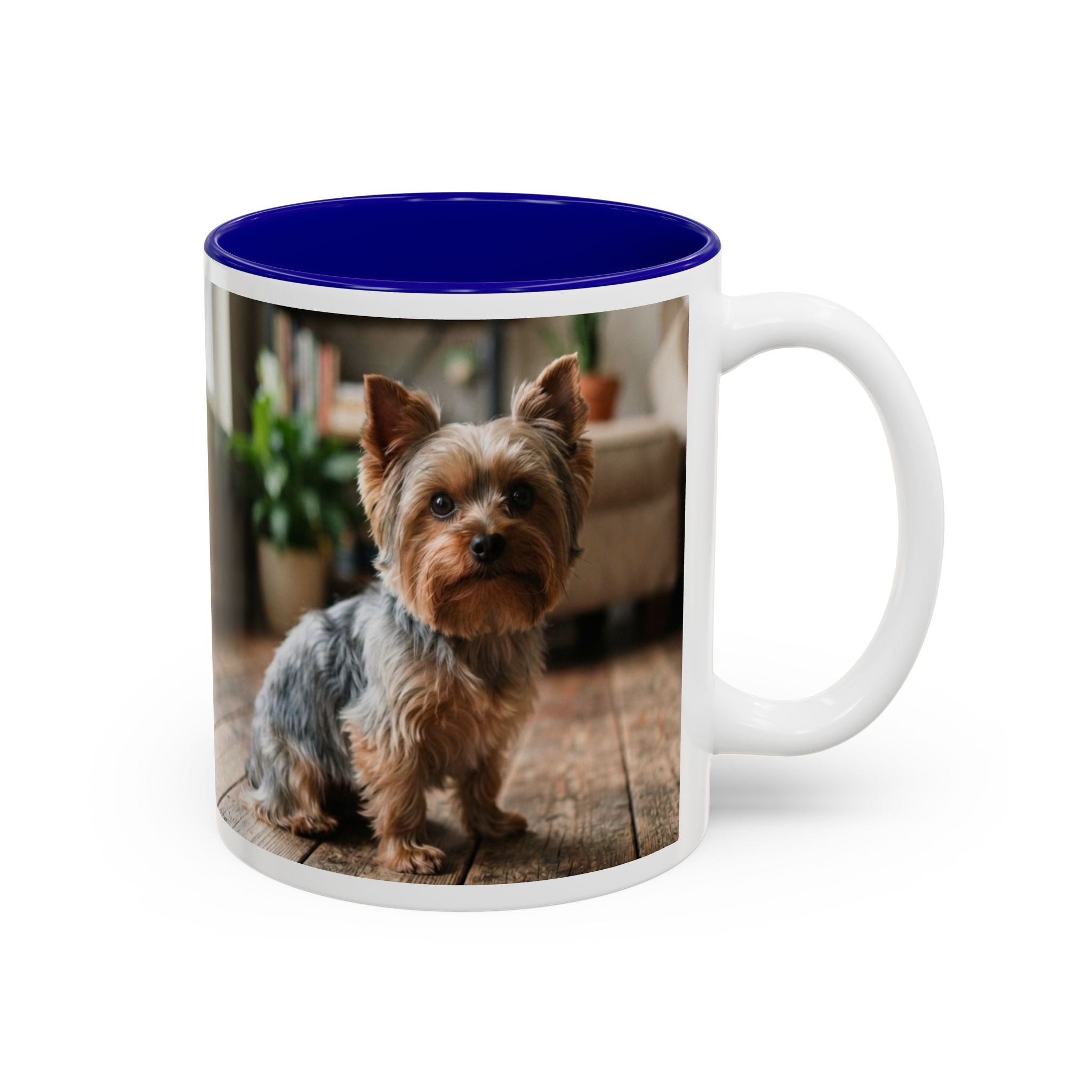 Charlie the Yorkie