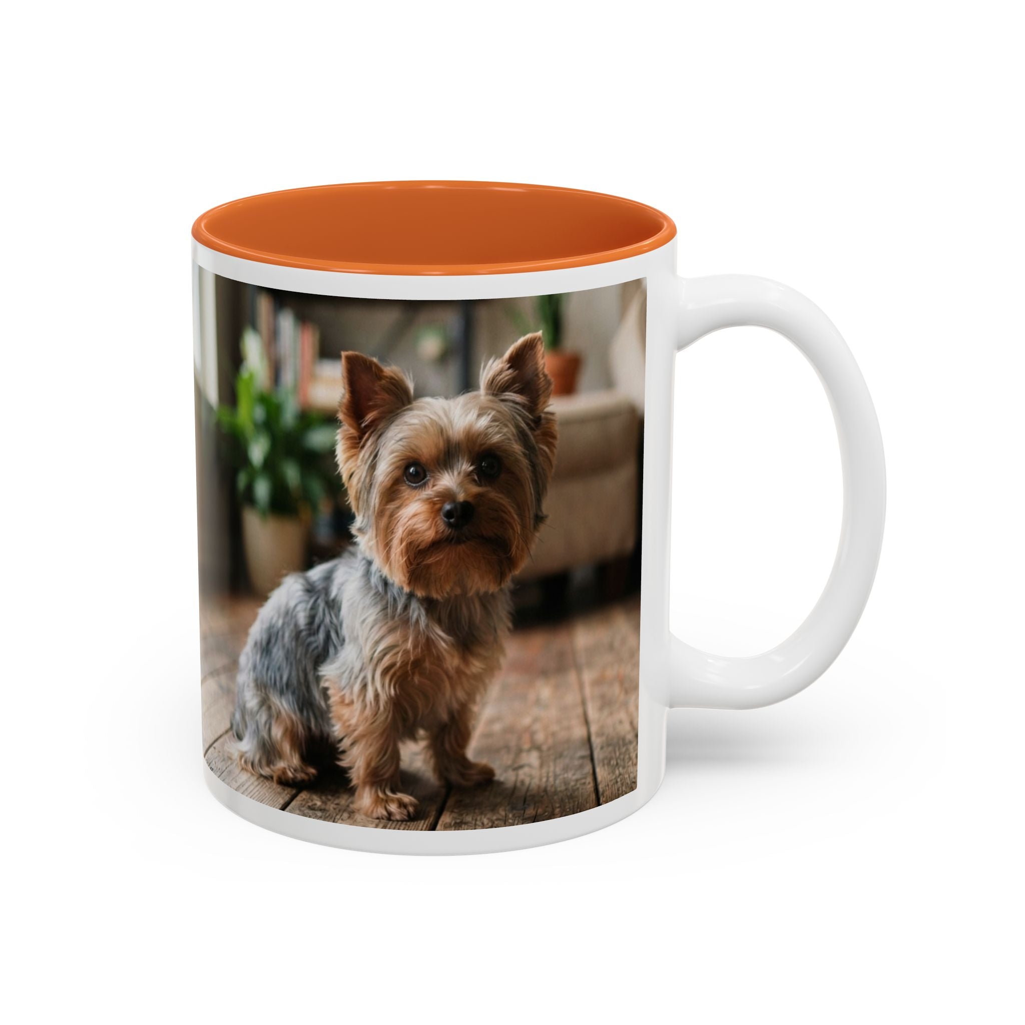 Charlie the Yorkie